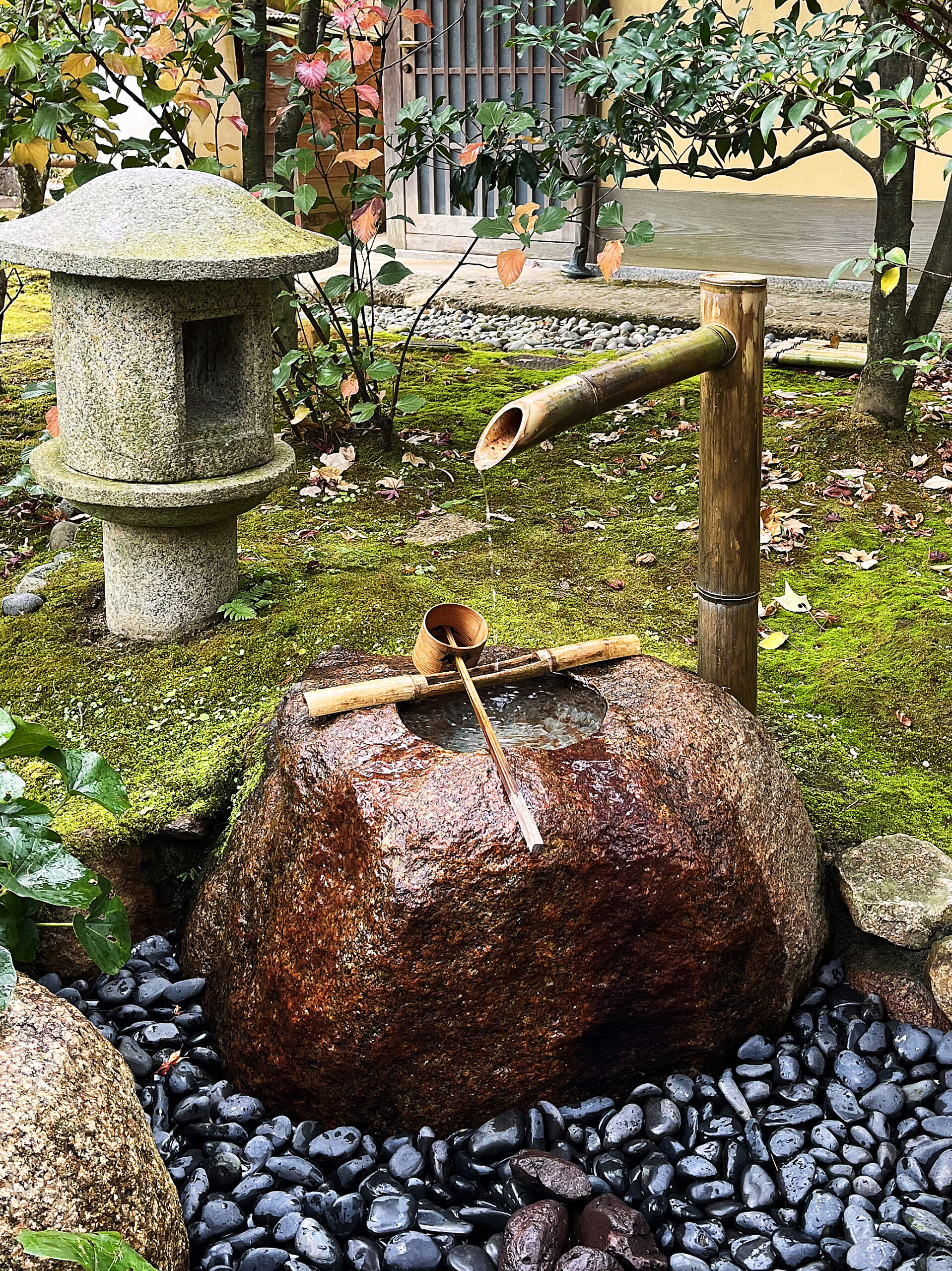 小さな一歩から、庭づくりを始めてみましょう